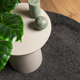 vidaXL Shaggy Rug High Pile Modern Anthracite Ã˜ 280 cm - Giant Lobelia