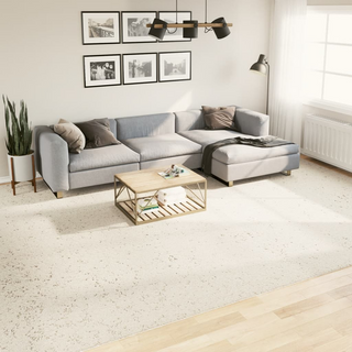 vidaXL Shaggy Rug High Pile Modern Cream 300x400 cm - Giant Lobelia