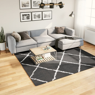 vidaXL Shaggy Rug High Pile Modern Black and Cream 240x240 cm - Giant Lobelia