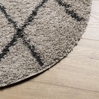 vidaXL Shaggy Rug High Pile Modern Beige and Anthracite Ø 240 cm - Giant Lobelia