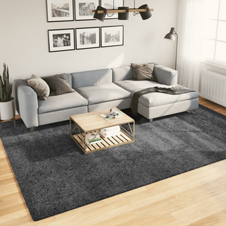 vidaXL Rug OVIEDO Short Pile Anthracite 240x340 cm - Giant Lobelia