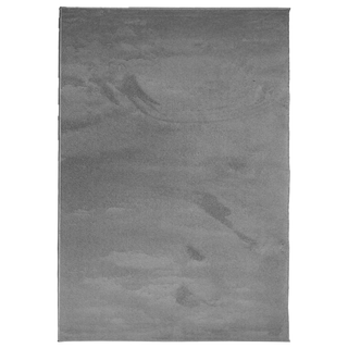 vidaXL Rug OVIEDO Short Pile Anthracite 140x200 cm - Giant Lobelia