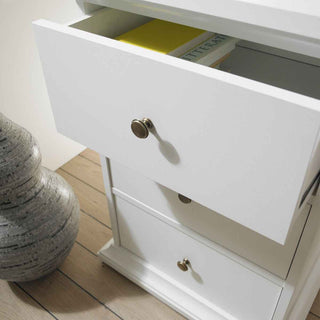 Paris Desk in White - Giant Lobelia