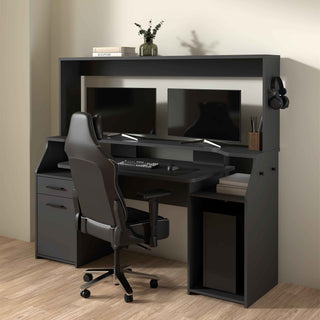 Gaming Desk with 1 Door 1 Drawer - Giant Lobelia