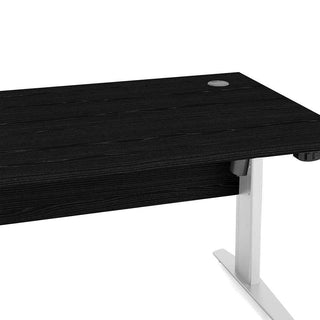 Desk 150cm in Black Woodgrain with Height Adjustable Legs with Electric Control in White - Giant Lobelia