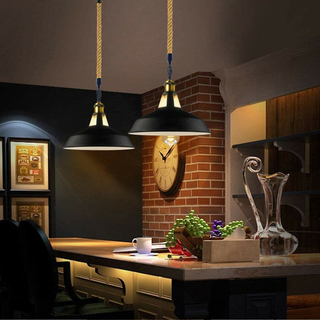 Slotted Shape Metal Ceiling Pendant Light Modern Hemp Hanging Retro Lamps~1653 - Giant Lobelia