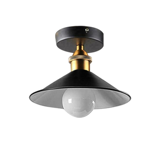 Ceiling Light Round Cone Down Lights Bathroom Kitchen Living Room Ceiling Lamp~1349 - Giant Lobelia