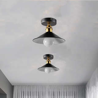 Ceiling Light Round Cone Down Lights Bathroom Kitchen Living Room Ceiling Lamp~1349 - Giant Lobelia